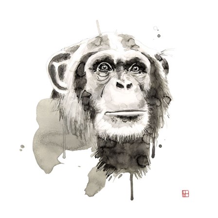 Chimp by Philippe Debongnie art print