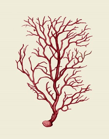 Corals Coral On Cream b by Fab Funky art print