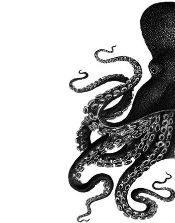 Octopus Black and White a by Fab Funky art print