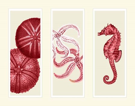 Three Panel Print Sea Urchin Starfish and Seahorse in Red by Fab Funky art print