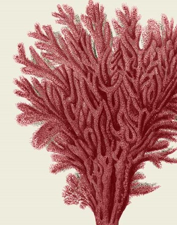 Red Corals 2 a by Fab Funky art print