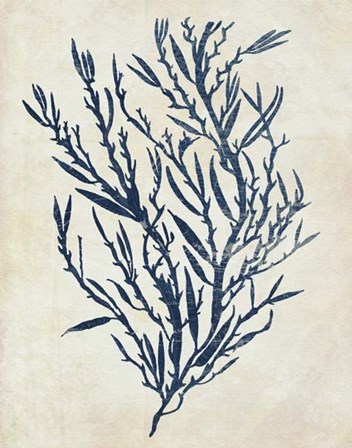 Indigo Blue Seaweed 3 b by Fab Funky art print