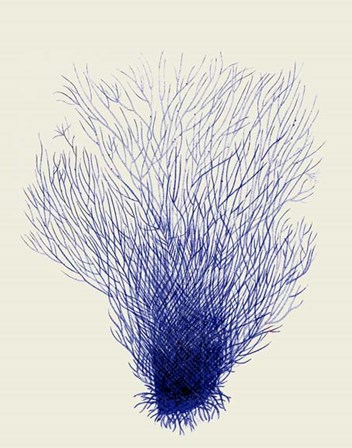 Blue Corals 2 d by Fab Funky art print