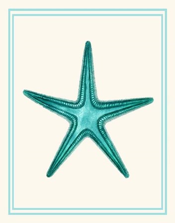 Mixed Nautical Turquoise on Cream f by Fab Funky art print