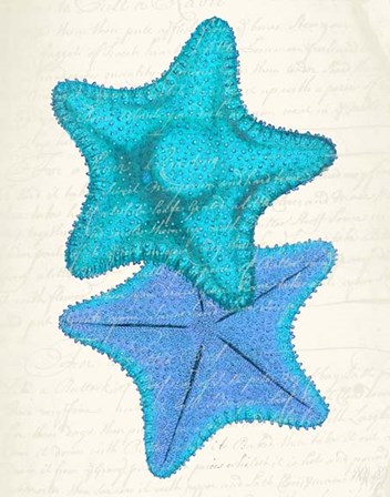 Starfish in Shades of Blue b by Fab Funky art print