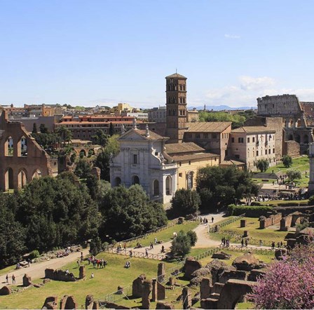 Look from Palatine Hill Francesca Romana art print