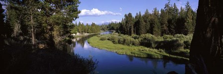 River at Don McGregor Viewpoint, Oregon by Panoramic Images art print