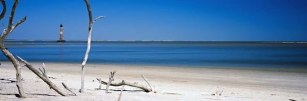 Morris Island Lighthouse, South Carolina by Panoramic Images art print