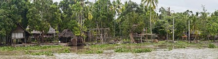 Houses on the Bank of the Sepik River, Papua New Guinea by Panoramic Images art print