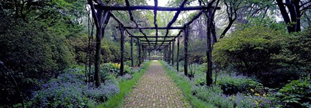 Garden path, Old Westbury Gardens, Long Island by Richard Berenholtz art print