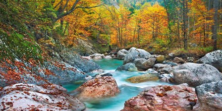 Mountain Brook and Rocks, Carinthia, Austria by Frank Krahmer art print