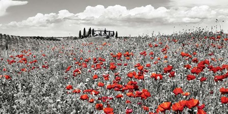 Farm House with Cypresses and Poppies, Tuscany, Italy by Frank Krahmer art print