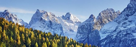 Larch Forest And Cima Bel Pra, Italy by Frank Krahmer art print