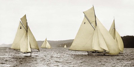 Sloops Racing, 1926 art print