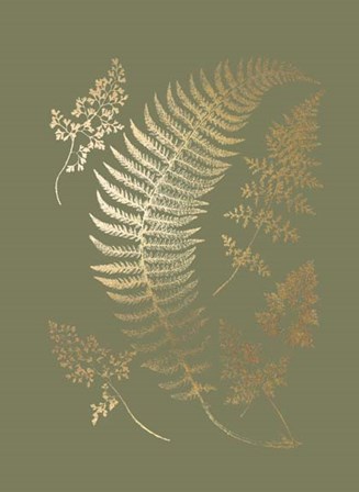 Gold Foil Ferns IV on Mid Green - Metallic Foil by Vision Studio art print