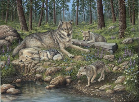 Grey Wolf Mother And Pups by Robert Wavra art print