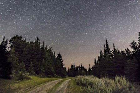 Meteor and Big Dipper, Mount Kobau, Canada by Alan Dyer/Stocktrek Images art print