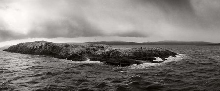 Island of arctic birds and sea lions, Beagle Channel, Patagonia, Argentina by Panoramic Images art print