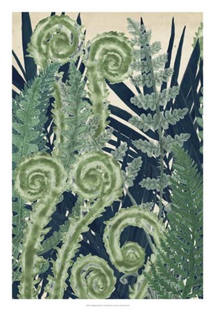 Fiddlehead Waltz I by Naomi McCavitt art print