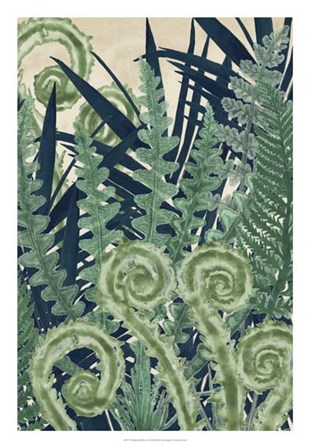 Fiddlehead Waltz II by Naomi McCavitt art print