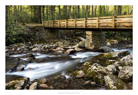 Bridge and Cascade I by Danny Head art print