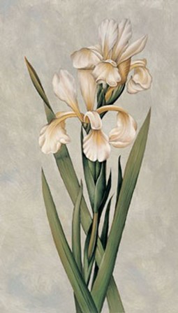 Decorative Irises I by Jill Deveraux art print