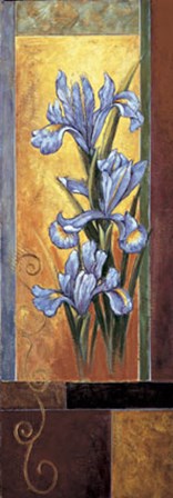 Iris by Jill Deveraux art print