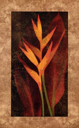 Heliconia by John Seba art print