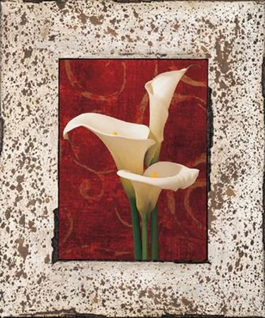 Calla Lilies by John Seba art print