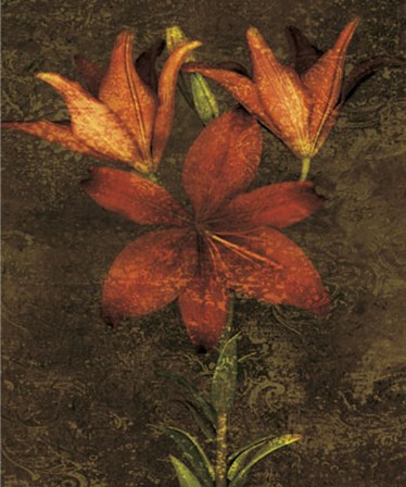 Red Lilies by John Seba art print