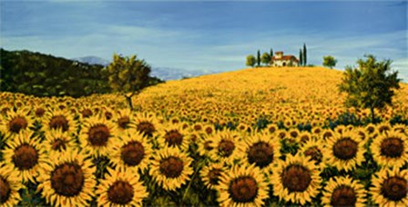 Girasoli Sul Pendio by Tebo Marzari art print