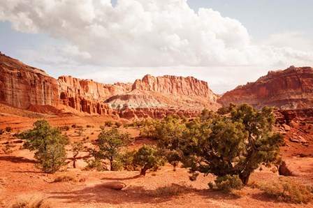 Capital Reef Utah by Ramona Murdock art print