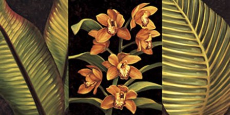 Orange Orchids and Palm Leaves by Rodolfo Jimenez art print