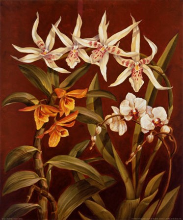 Orchid Trio I by Rodolfo Jimenez art print