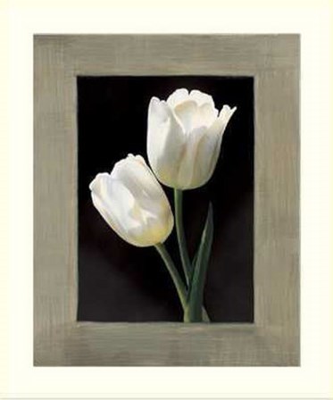 Tulipani Bianchi by Andrea Trivelli art print