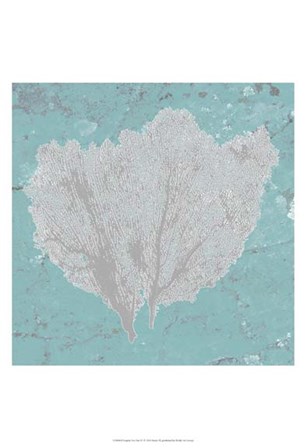 Graphic Sea Fan IV by Studio W art print