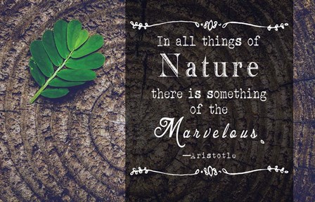 In all things of Nature by Quote Master art print