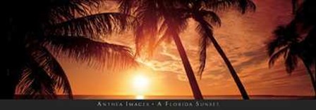 Florida Sunset art print