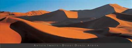 Desert Dune art print