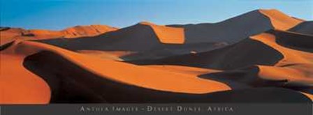 Anonymous - Desert Dune Size 54.5x19 art print