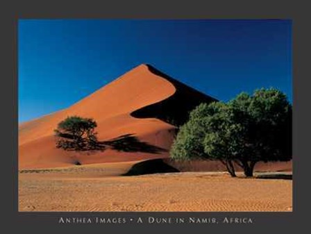 Dune in Namib, Africa art print