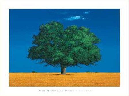 Albero Nei Campi by Gio Mondelli art print