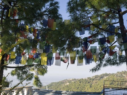 Prayer Flags, Upper Dharamsala, Himachal Pradesh, India by Panoramic Images art print