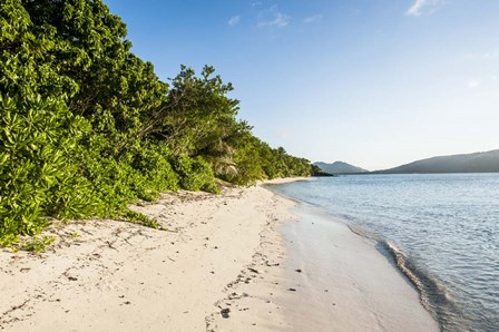 White sandy beach, Fiji by Michael Runkel / DanitaDelimont art print