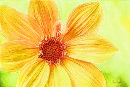 Daisy Love by Ramona Murdock art print