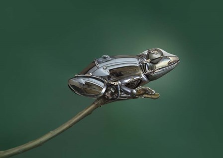 Frog by Sulaiman Almawash art print