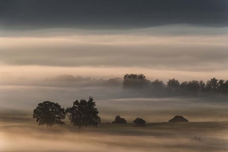 Dense Fog Over The Moos by Nina Pauli art print