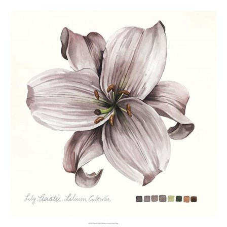 Lilium II by Grace Popp art print