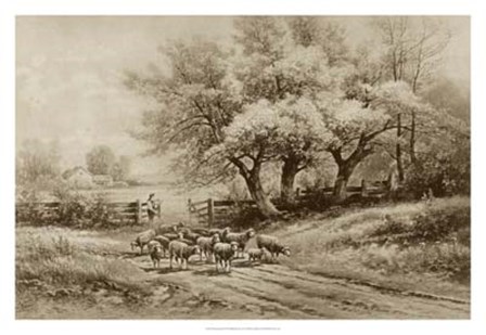 Herding Sheep by Carl Weber art print