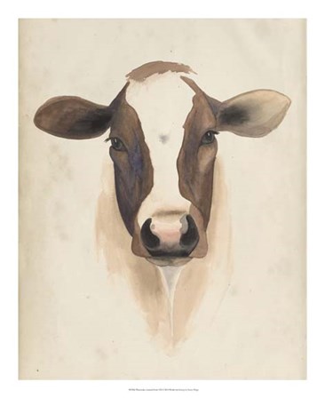 Watercolor Animal Study VII by Grace Popp art print